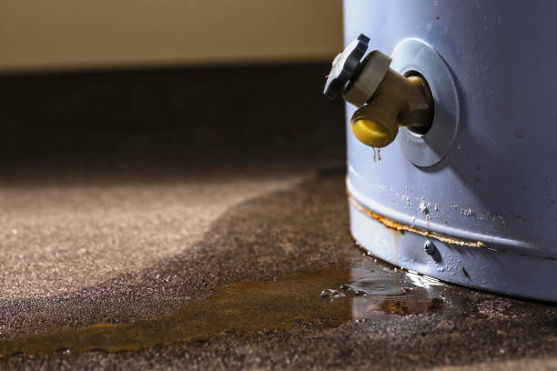Best Mold removal after water damage  in Modesto, CA