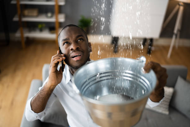 Best Flood damage cleanup  in Modesto, CA
