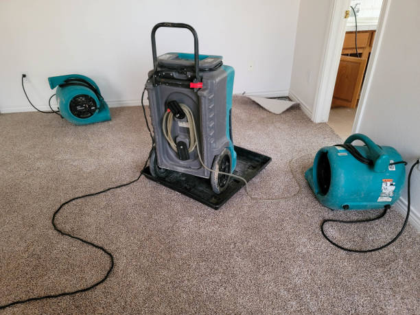 Best 24/7 water damage repair  in Modesto, CA