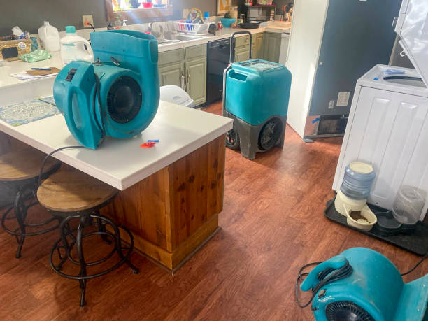 Best Mold removal after water damage  in Modesto, CA