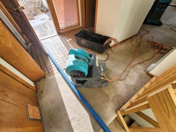 Best Local water damage restoration  in Modesto, CA