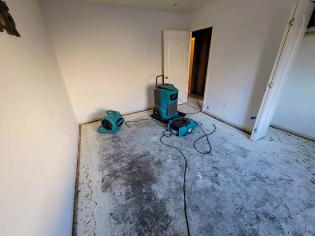Best Professional water damage repair  in Modesto, CA