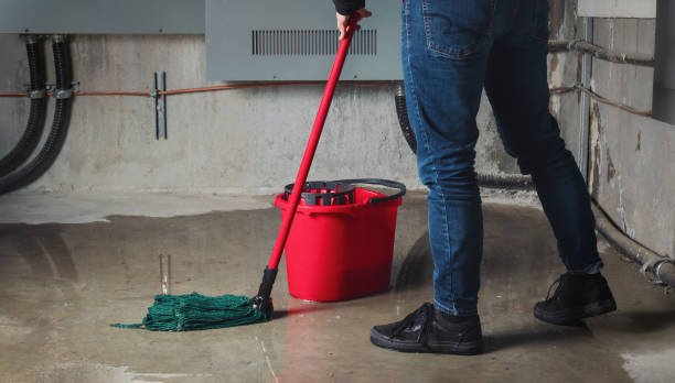 Best Water damage cleanup near me  in Modesto, CA