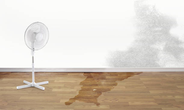 Best Water damage repair service  in Modesto, CA