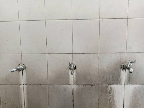 Best Flooded house restoration  in Modesto, CA