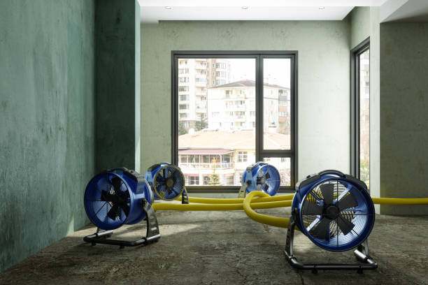 Best 24/7 water damage repair  in Modesto, CA