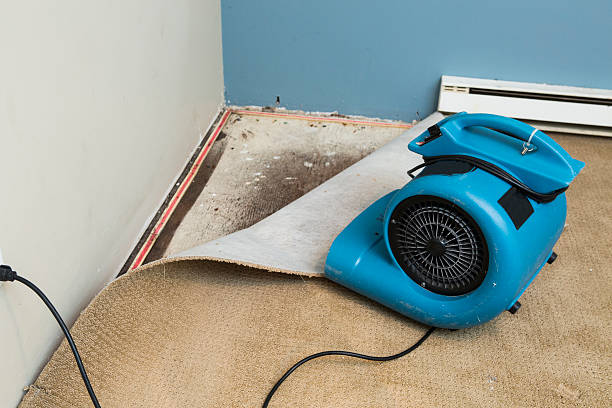 Best Flooded house restoration  in Modesto, CA